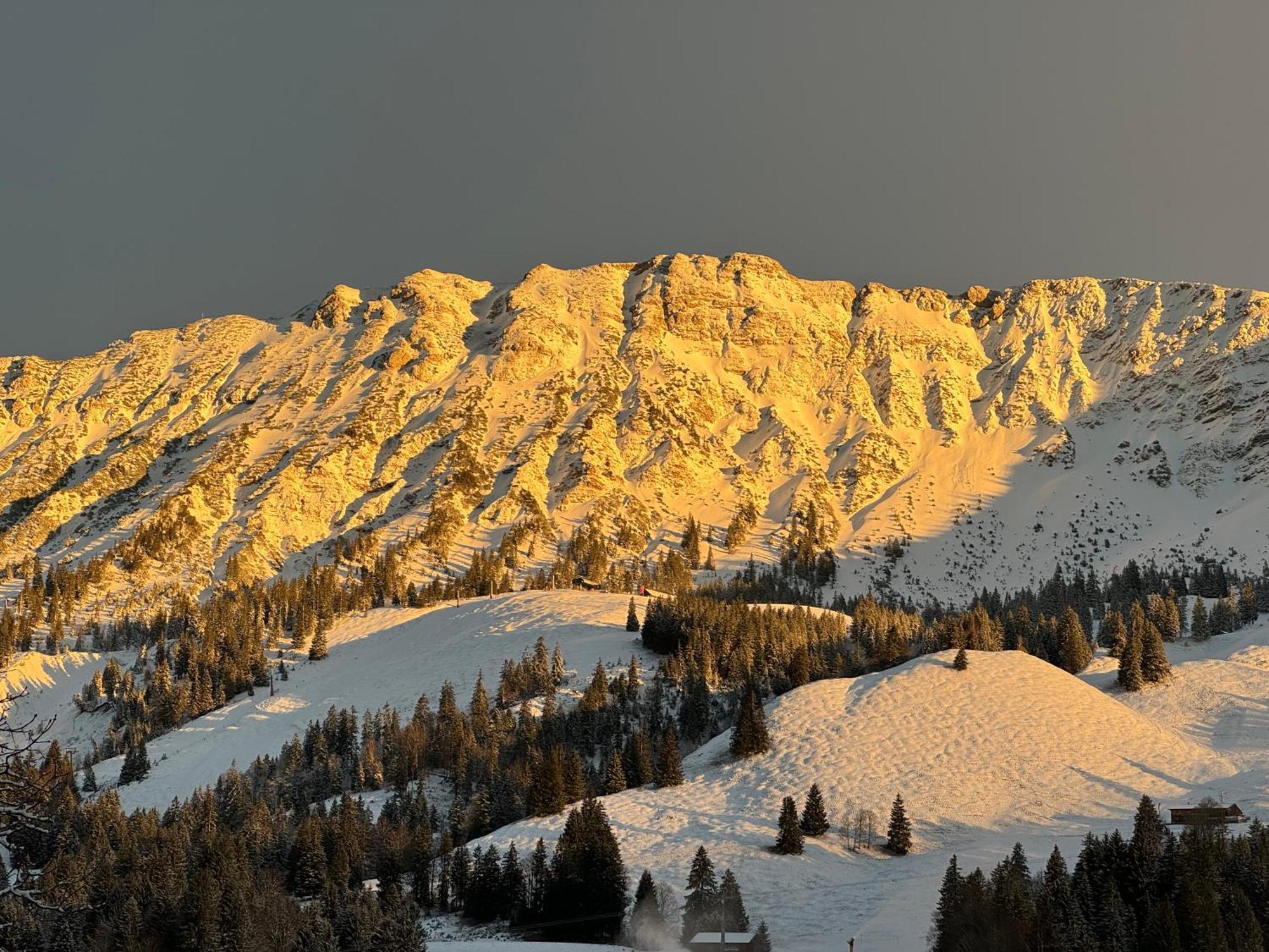 Lanig Hotel Resort&Spa - Wellness Und Feinschmeckerhotel - Family Owned And Managed Oberjoch Exterior photo